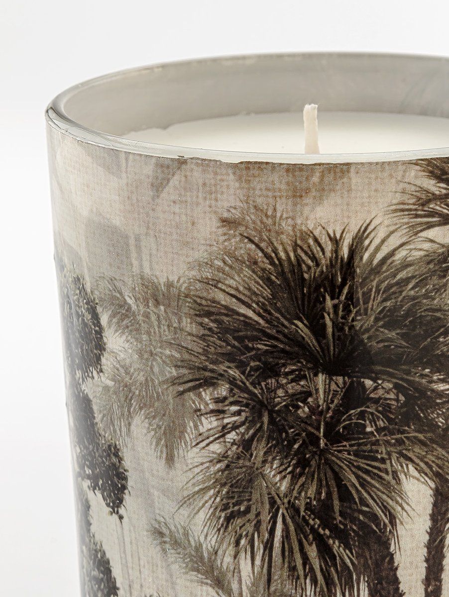 VELA NUIT FORET MYRRH & TONKA
