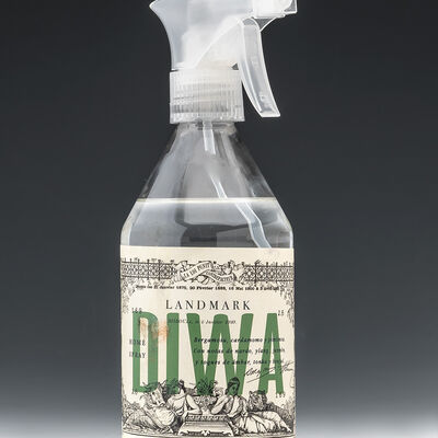 HOME SPRAY DIWA 500ML