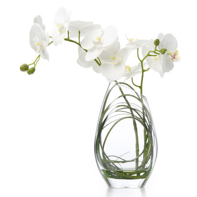 FLORERO ORQUIDEA ELISA WHITE L