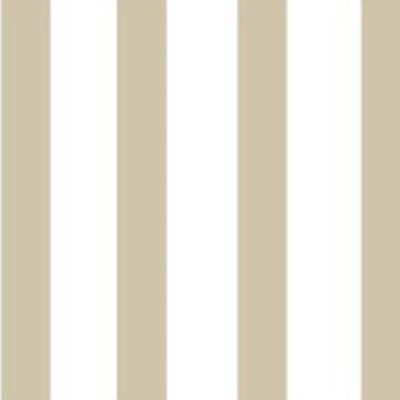 INDIVIDUAL FLASHING STRIPES CHAMPAGNE