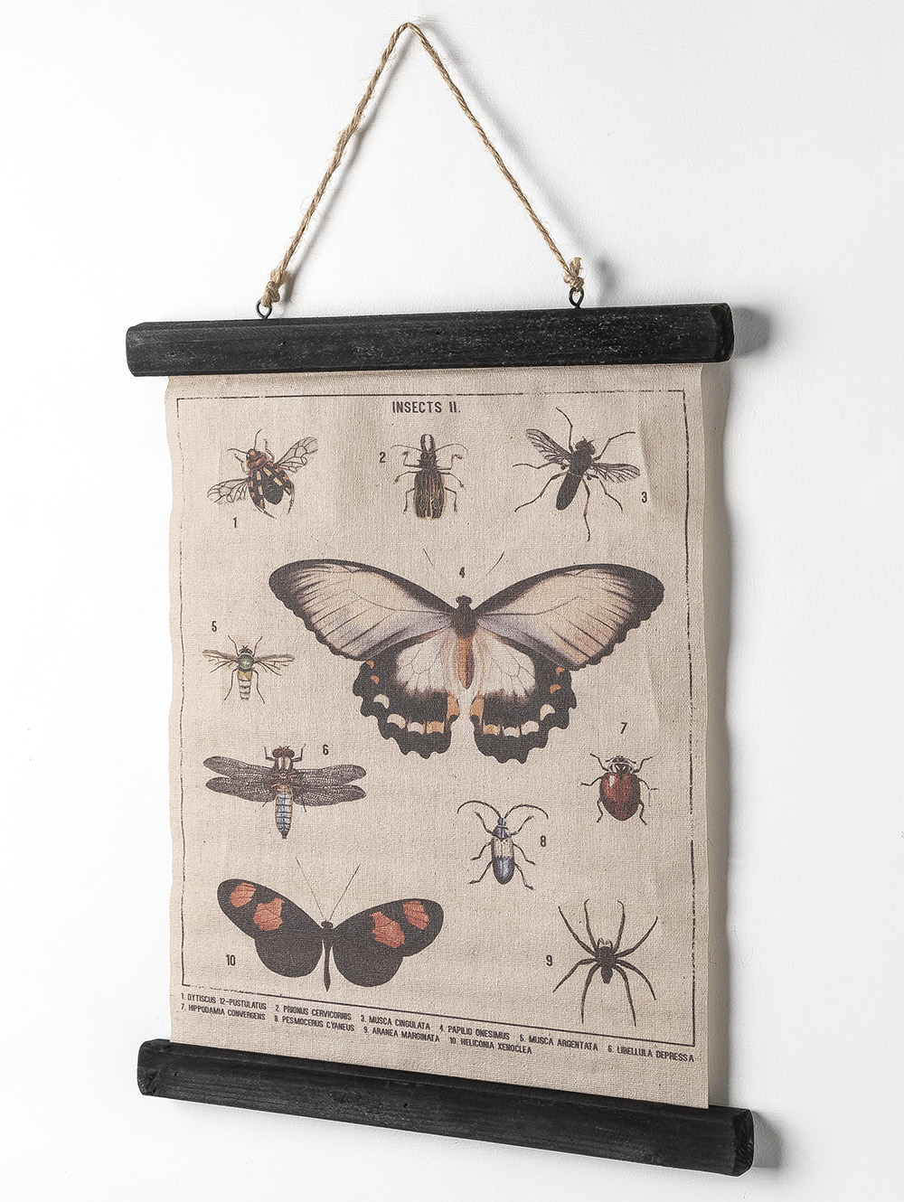 CANVAS BUTTERFLY 33X40-FIT-2.jpg image number null