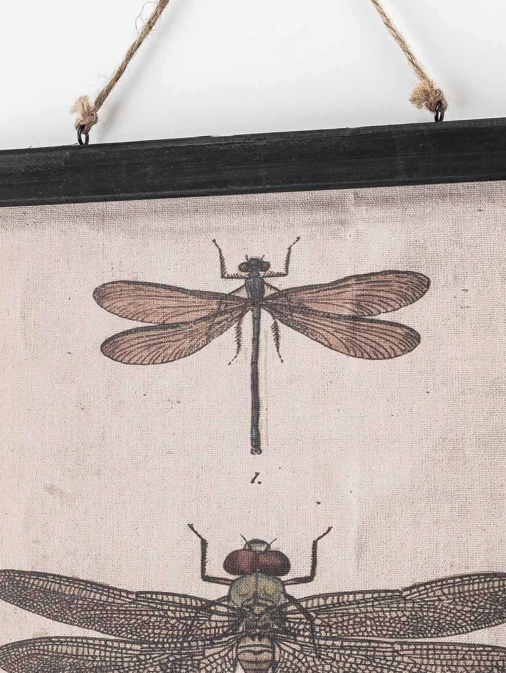 CANVAS DRAGONFLY 33X40-FIT-1.jpg image number null