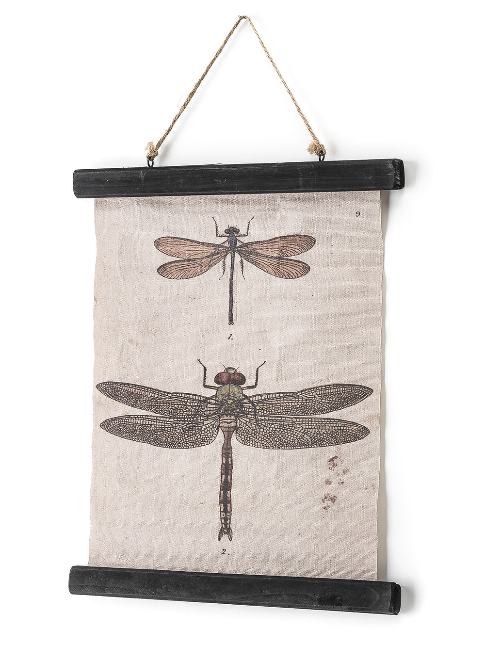 CANVAS DRAGONFLY 33X40-FIT-2.jpg image number null