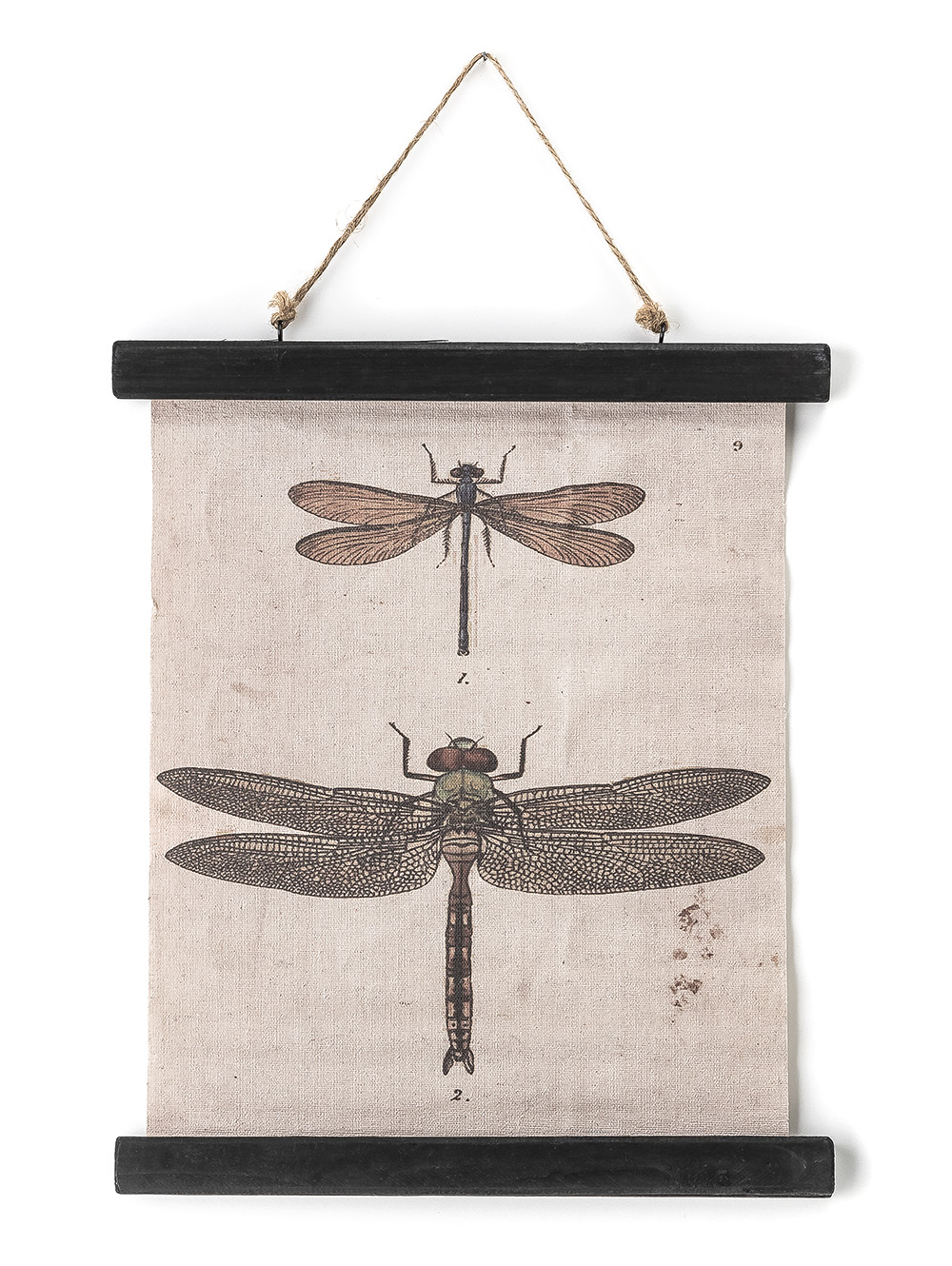 CANVAS DRAGONFLY 33X40 image number null