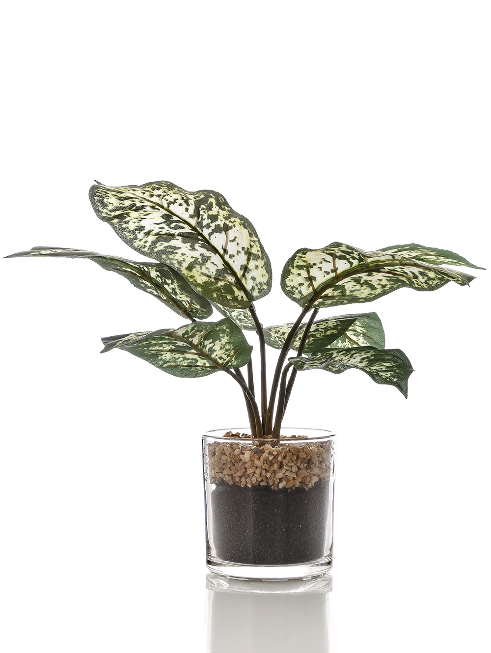 MACETA CHINESE EVERGREEN GLASS image number null