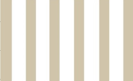 INDIVIDUAL FLASHING STRIPES CHAMPAGNE image number null